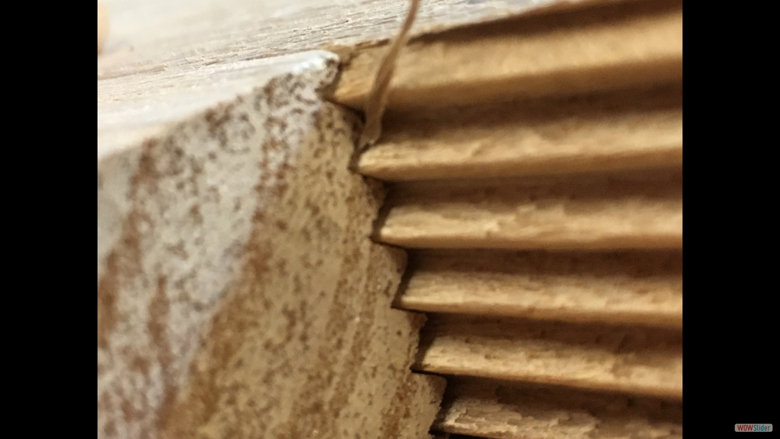 Gros plan sur l'assemblage.